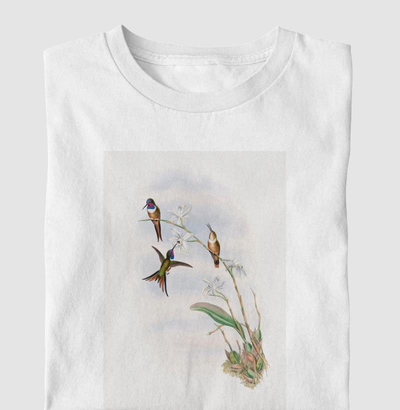 The family of hummingbirds