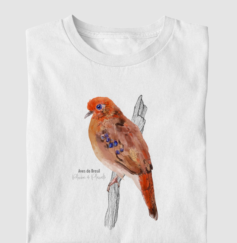 Aves do Brasil - Rolinha do Planalto - Infantil