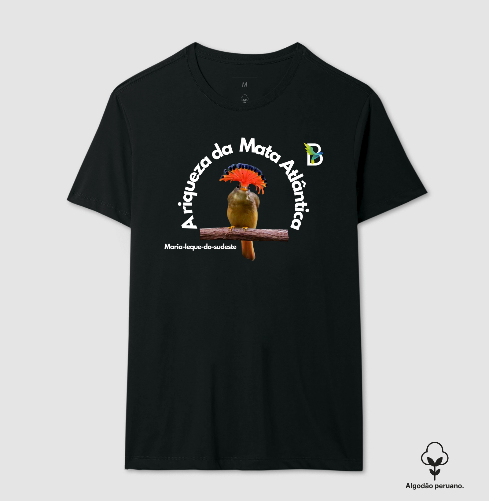 RIQUEZA DA MATA ATLÂNTICA