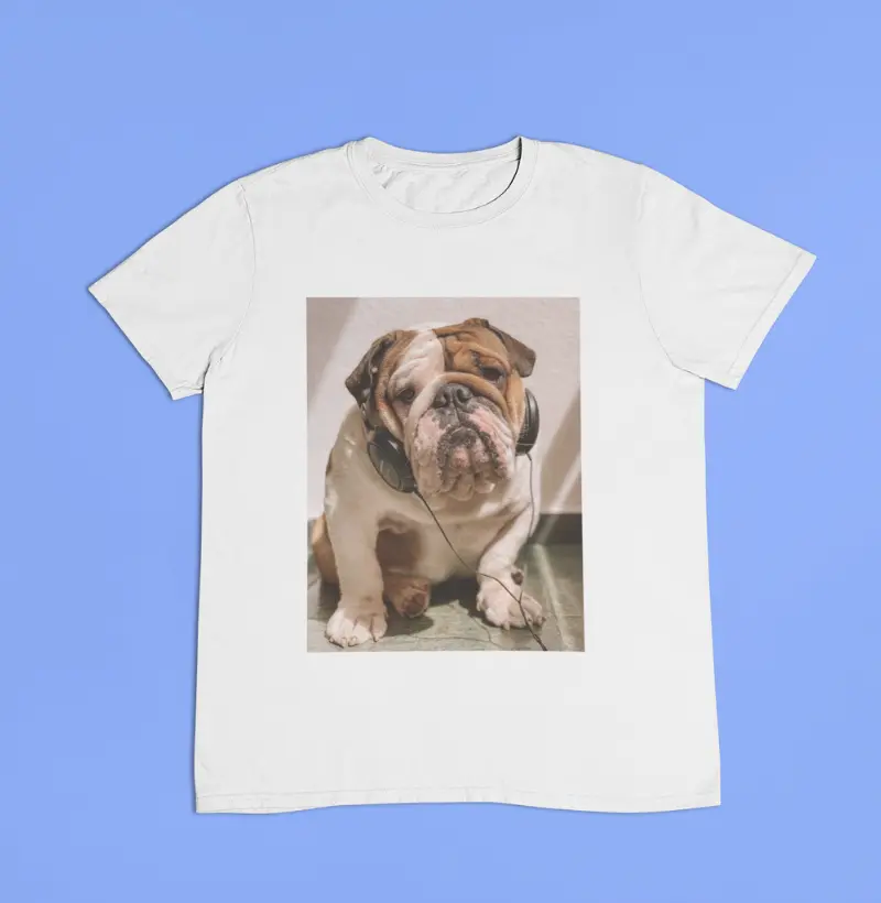 Bulldog na pista