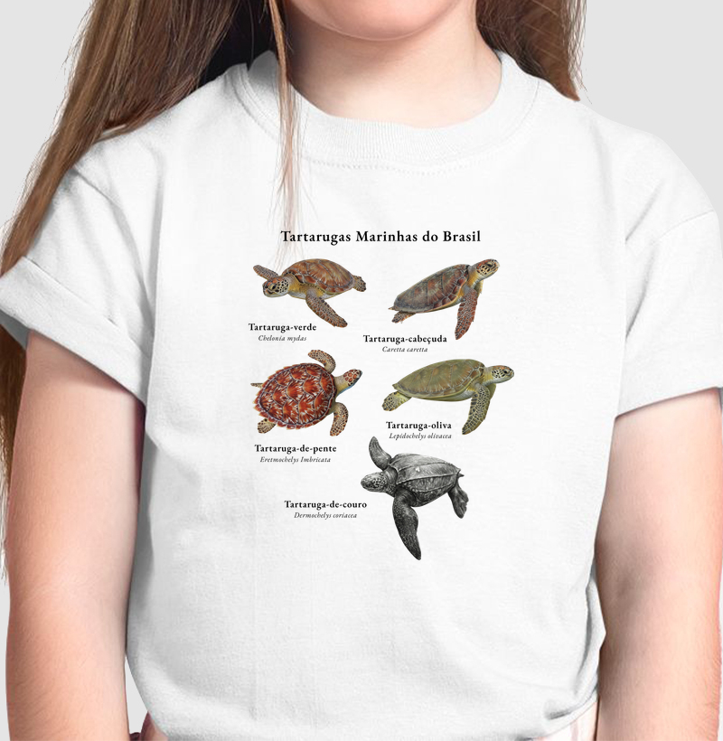 Tartarugas Marinhas do Brasil