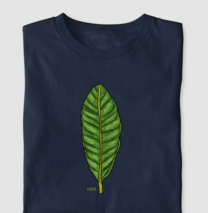 Folha de maranta 02
