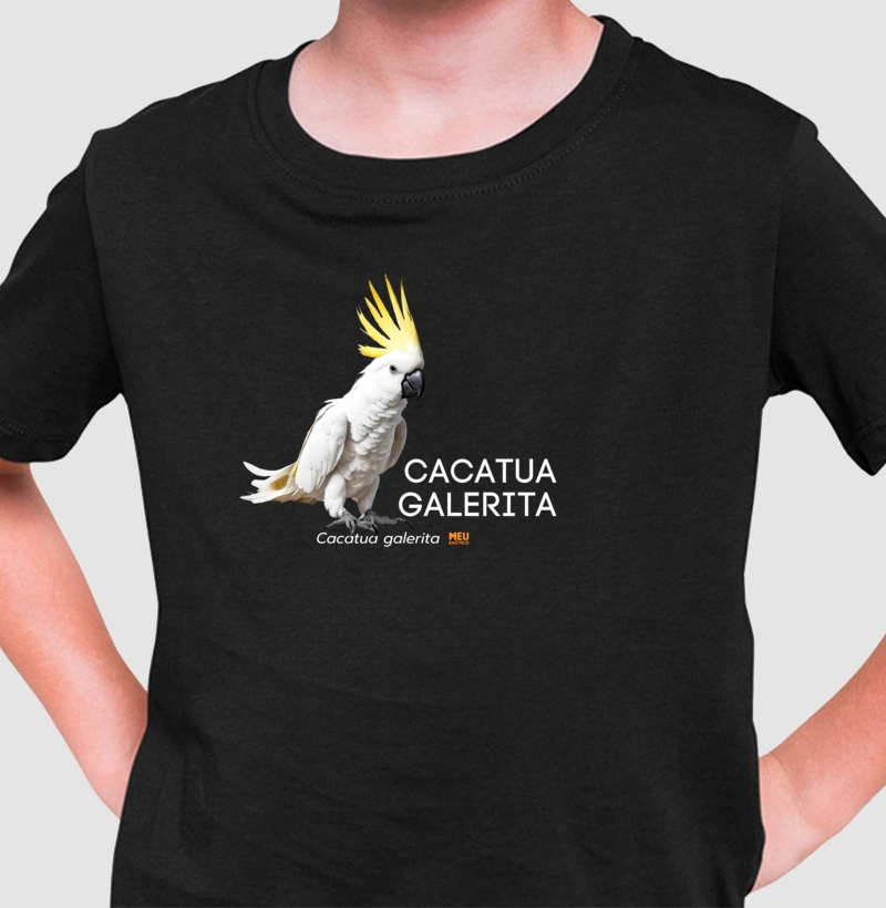 Cacatua galerita III