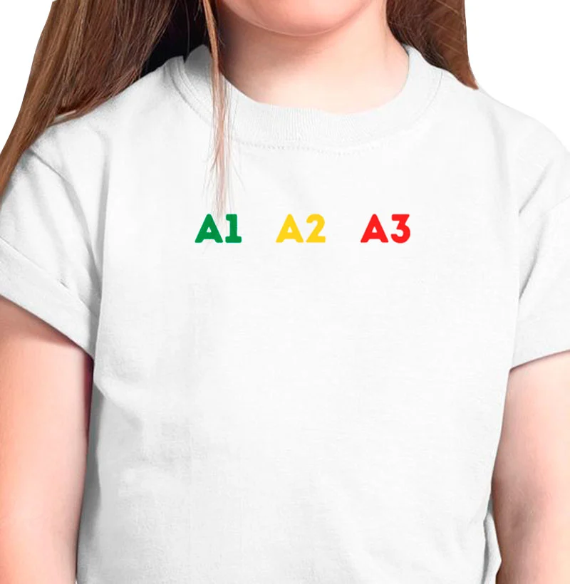 A1 A2 A3