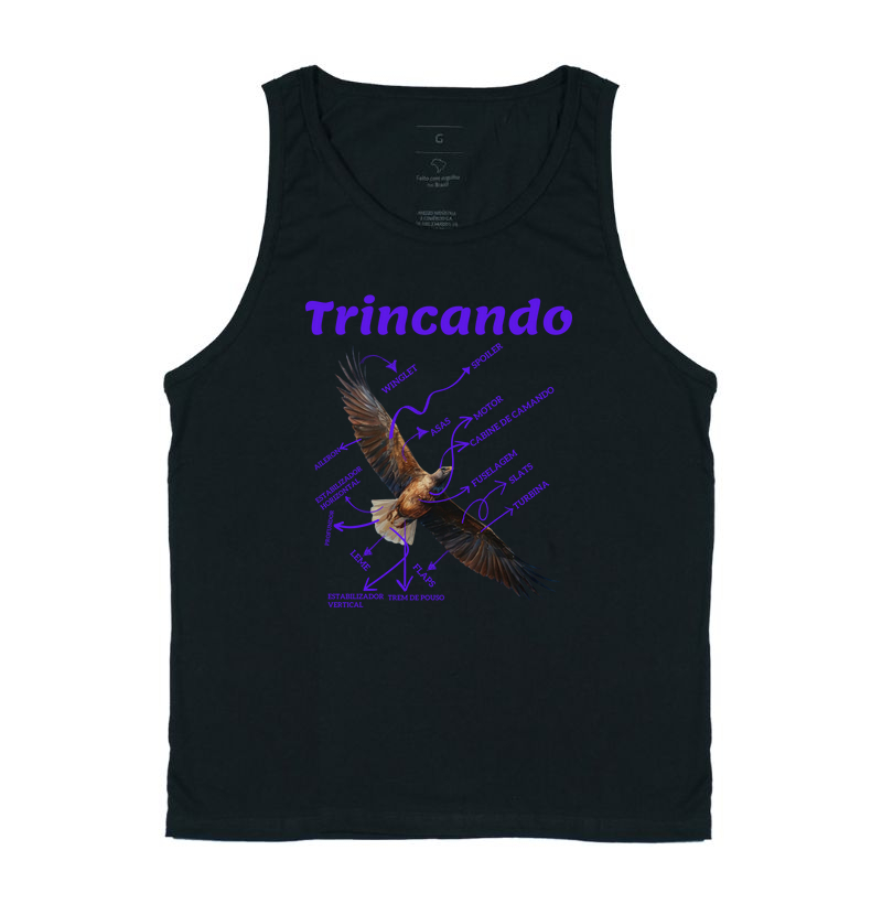 Trincando de aviação