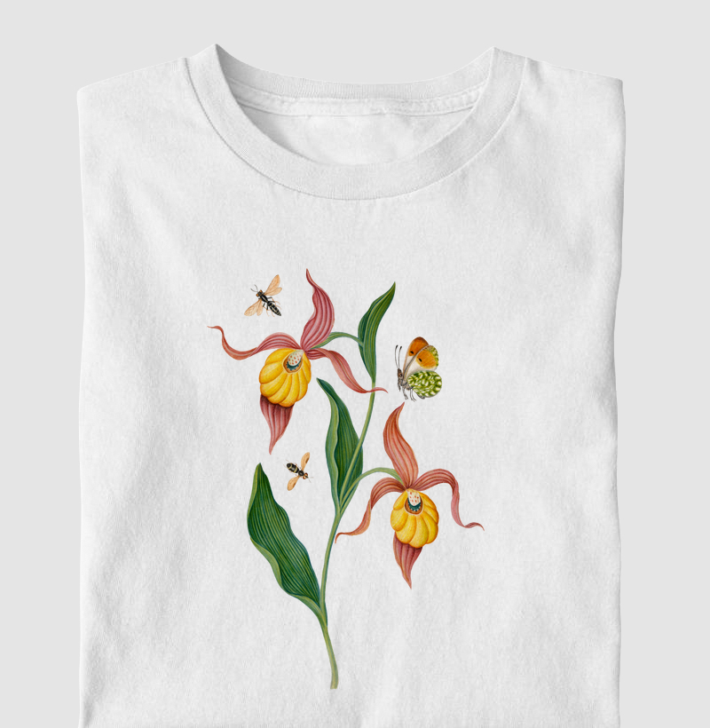 Lady's slipper orchid