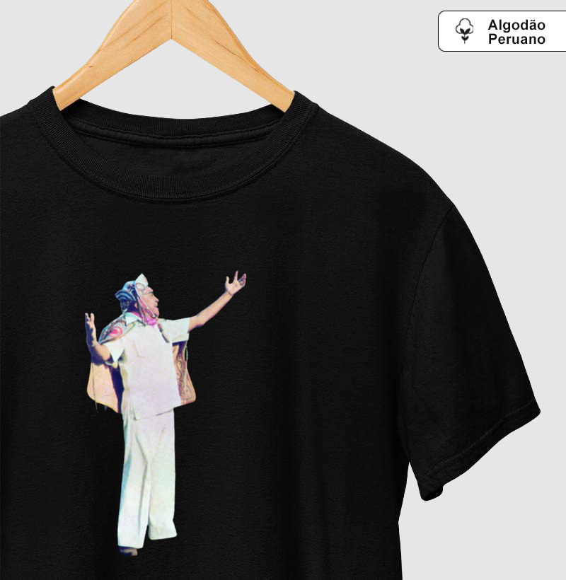 Luiz Gonzaga - O rei volta pra casa