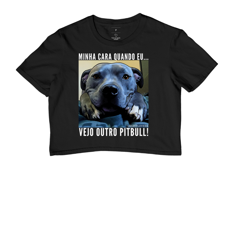 MINHA CARA QUANDO EU...VEJO UM PIT BULL