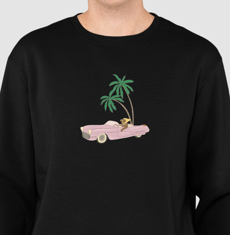 Ela, o carro e o coqueiro