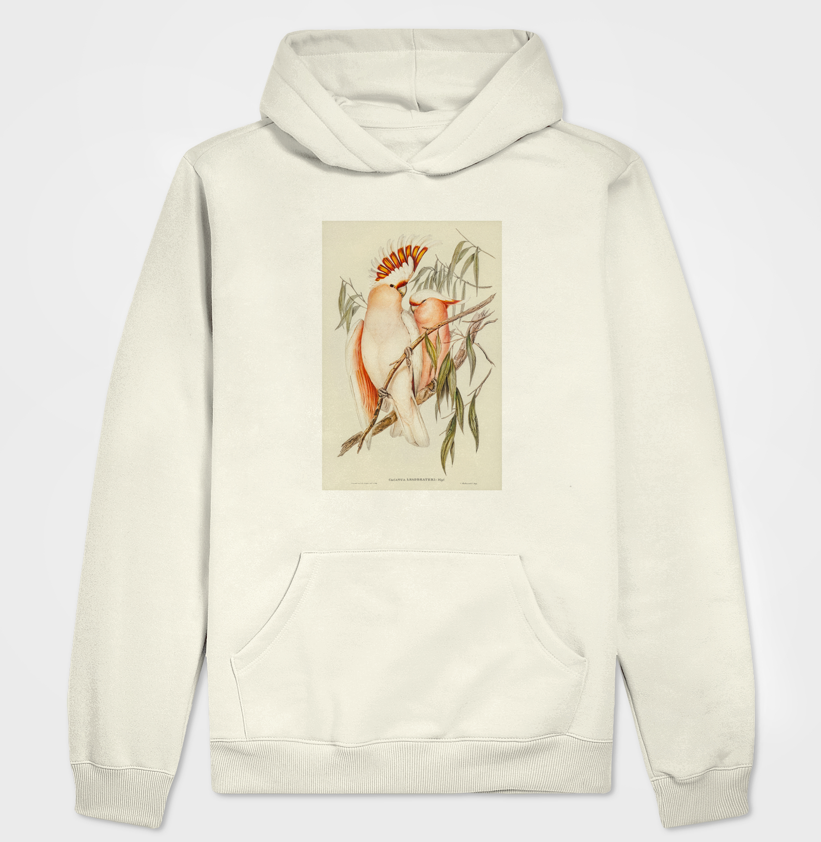 Leadbeater's Cockatoo