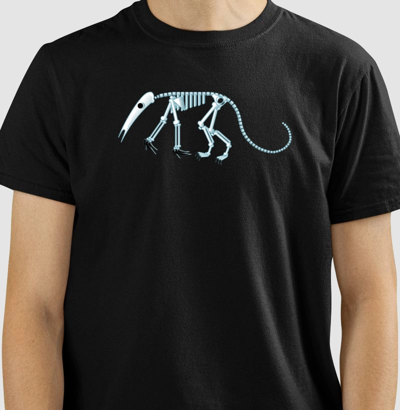 Anteater Bones