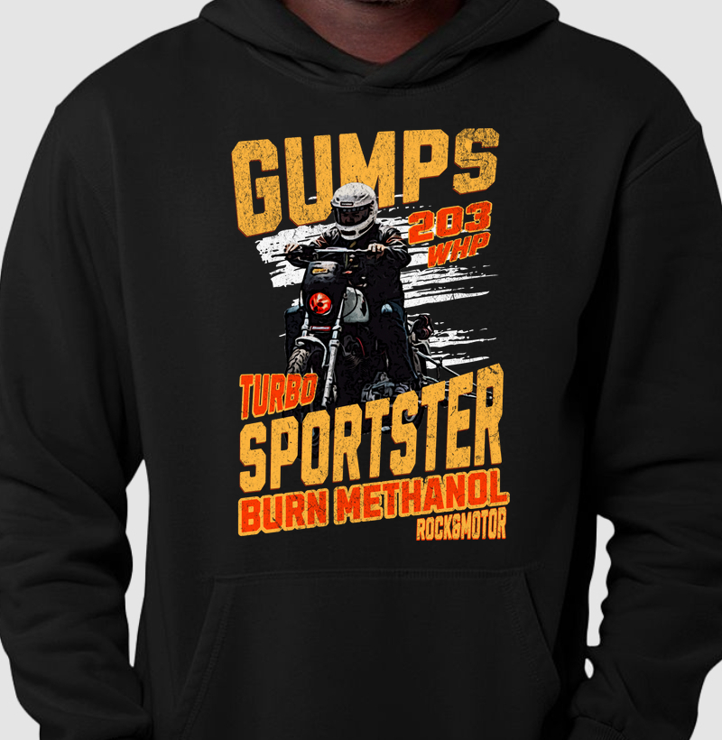 Sportster Turbo