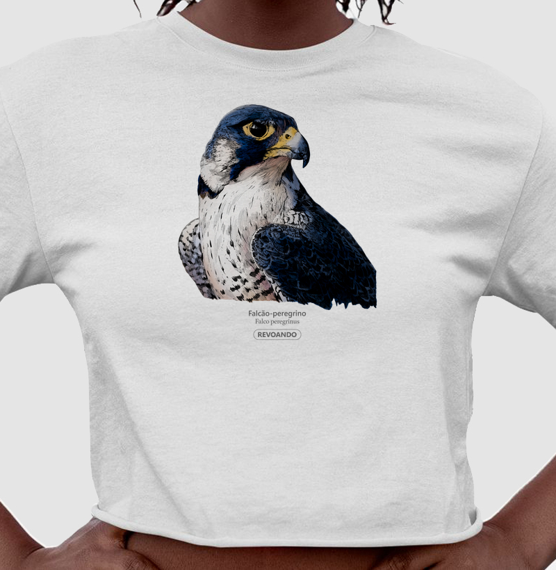 Rapinas Inky - Falcão-peregrino - Cropped