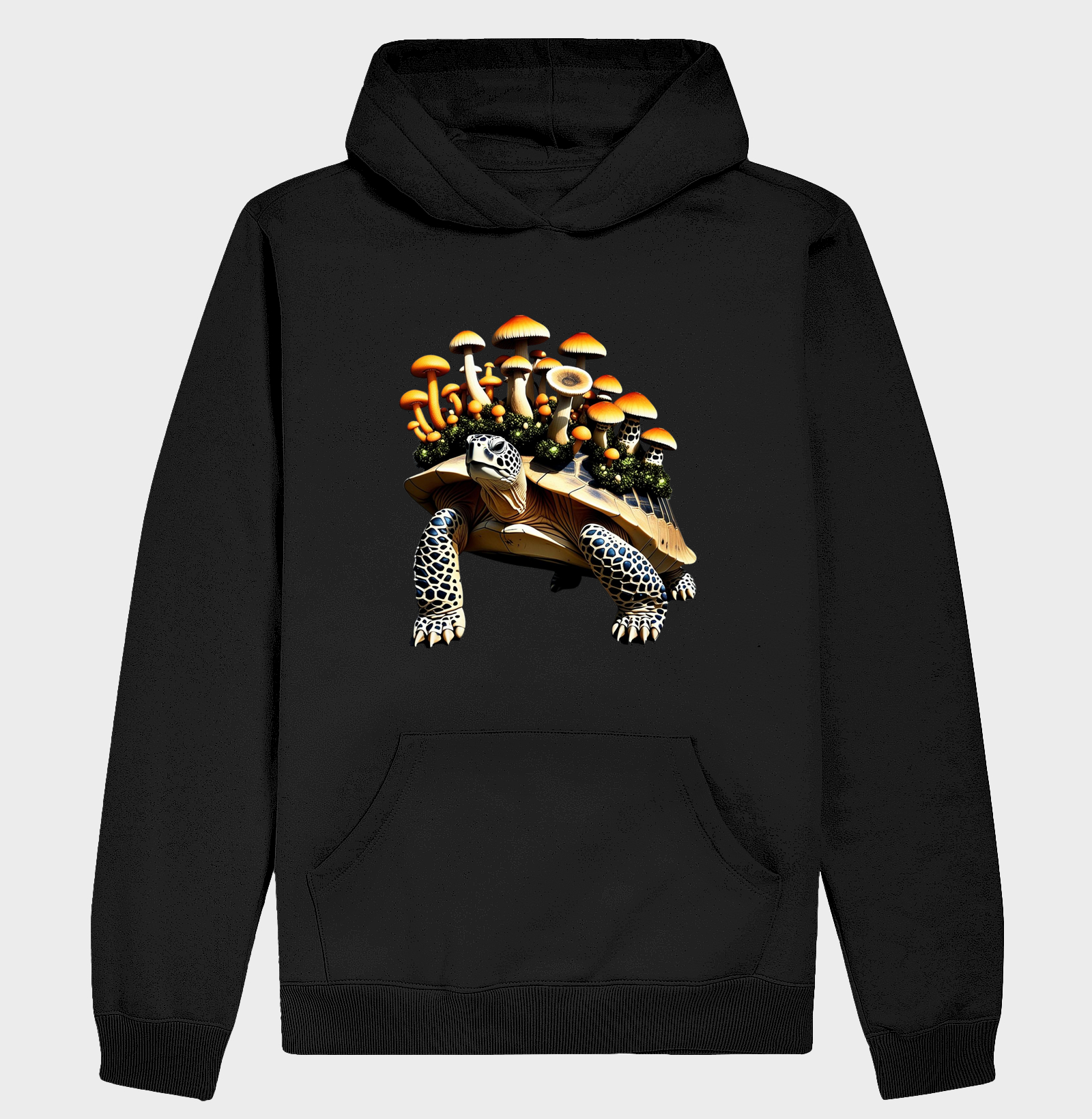 Tartaruga
