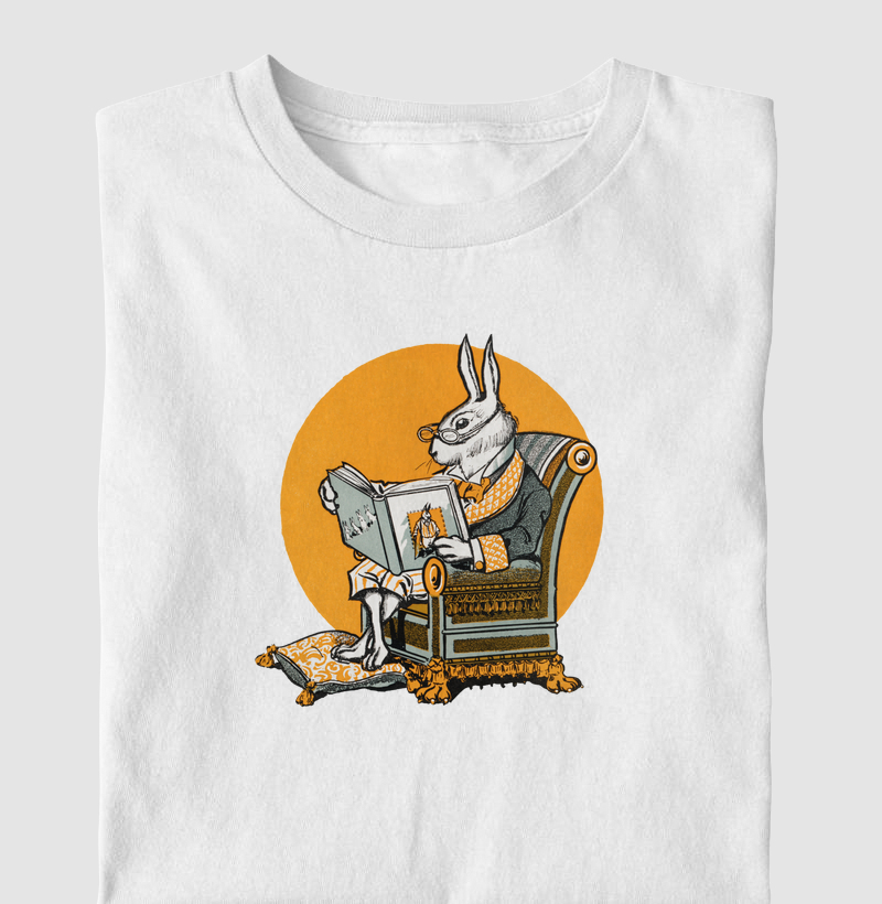 Mr Bunny