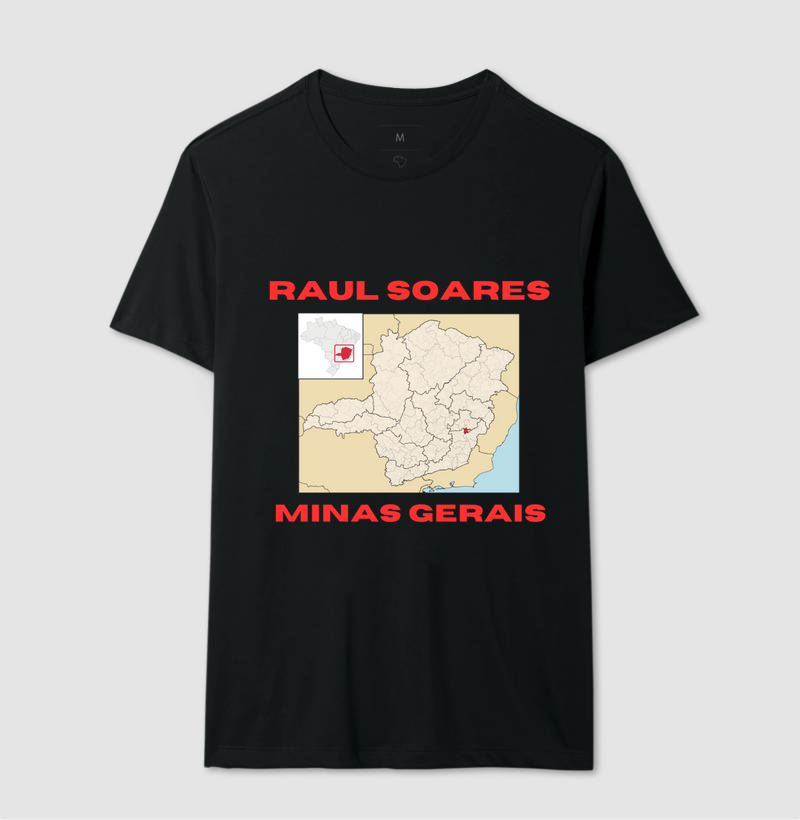 RAUL SOARES MG