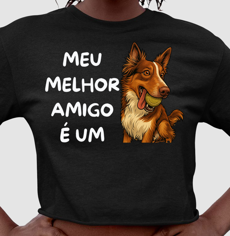 Meu melhor amigo é um border collie
