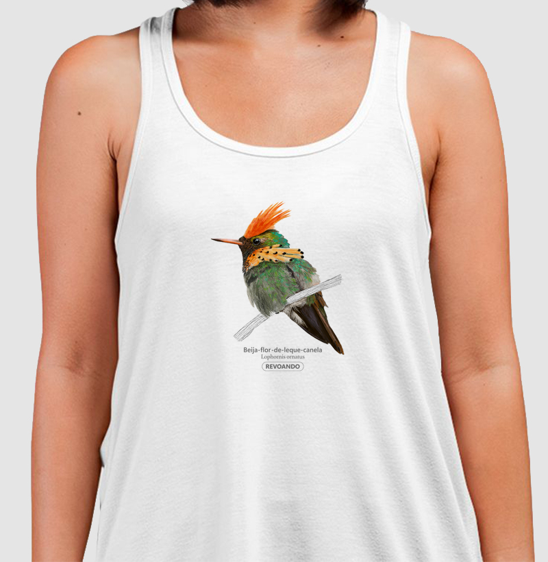 Aves do Brasil - Beija-flor-de-leque-canela - Regata