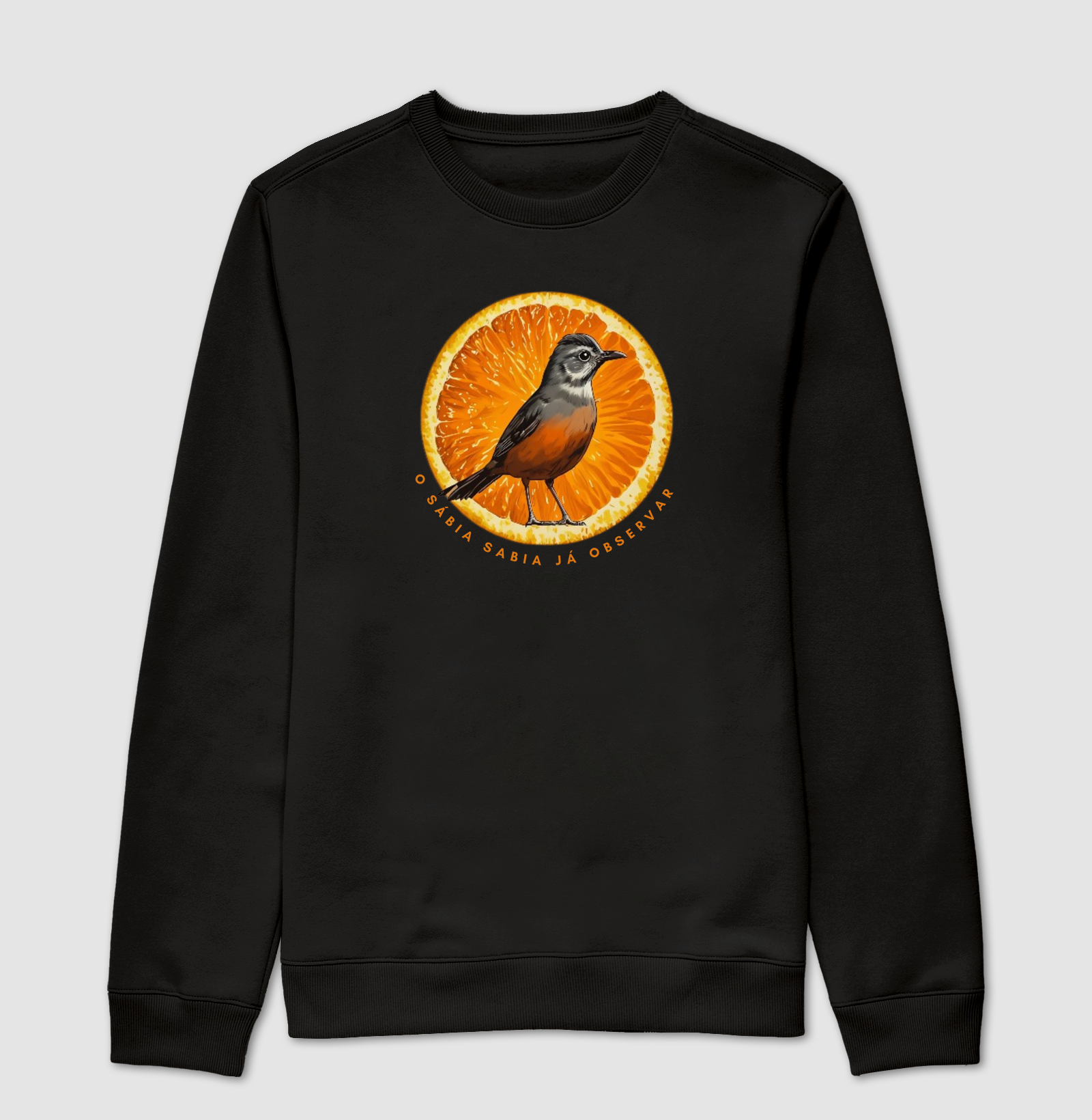 O sábia sabia já observar