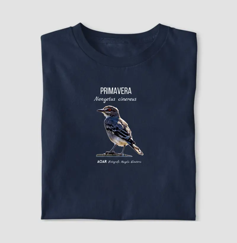 Aves da mata atlântica com Magela Eleutério PRIMAVERA