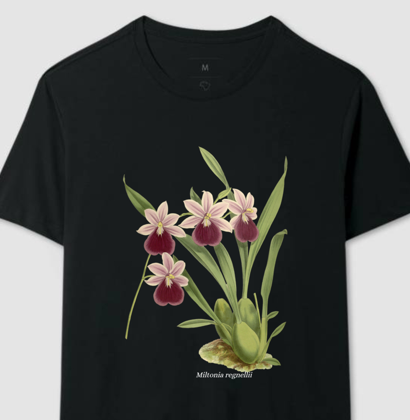 Camiseta Miltonia regnellii t-shirt