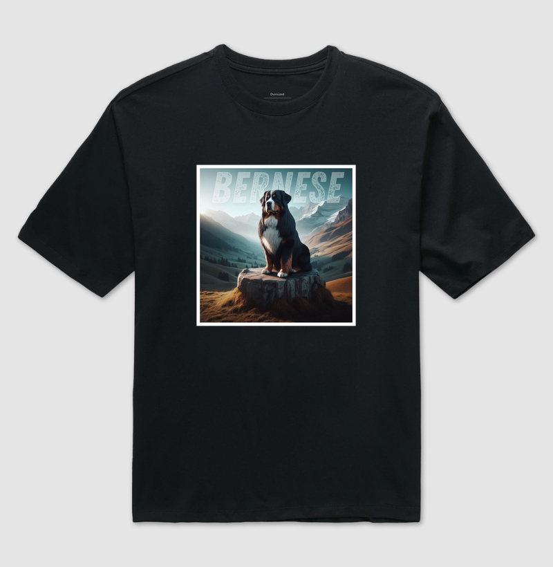 Bernese da Montanha