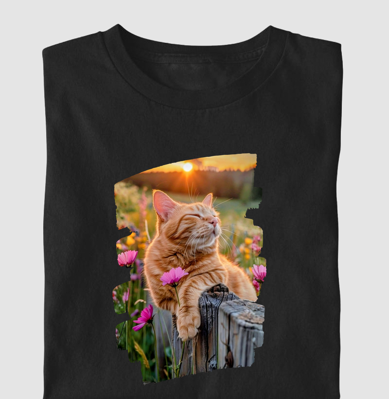 Gato Laranja no Pôr do Sol