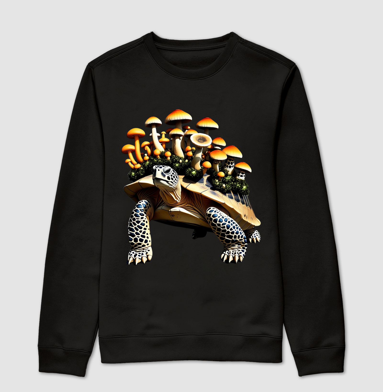 Tartaruga