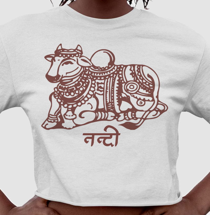 Nandi - o Veículo de Shiva