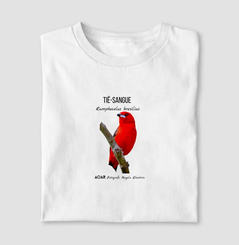 Aves da mata atlântica com Magela Eleutério TIÊ-SANGUE 