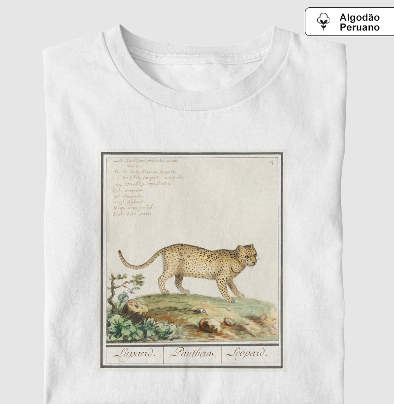 Panthera pardus