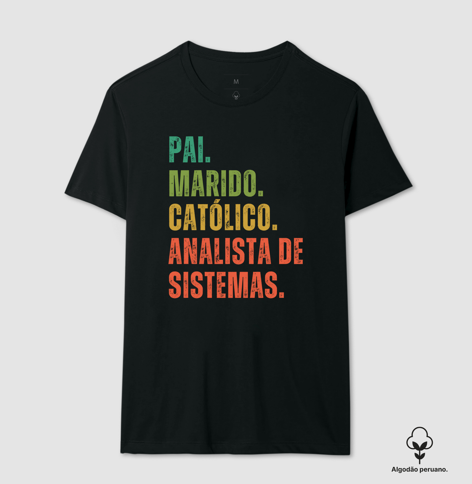 Católico Analista de sistemas