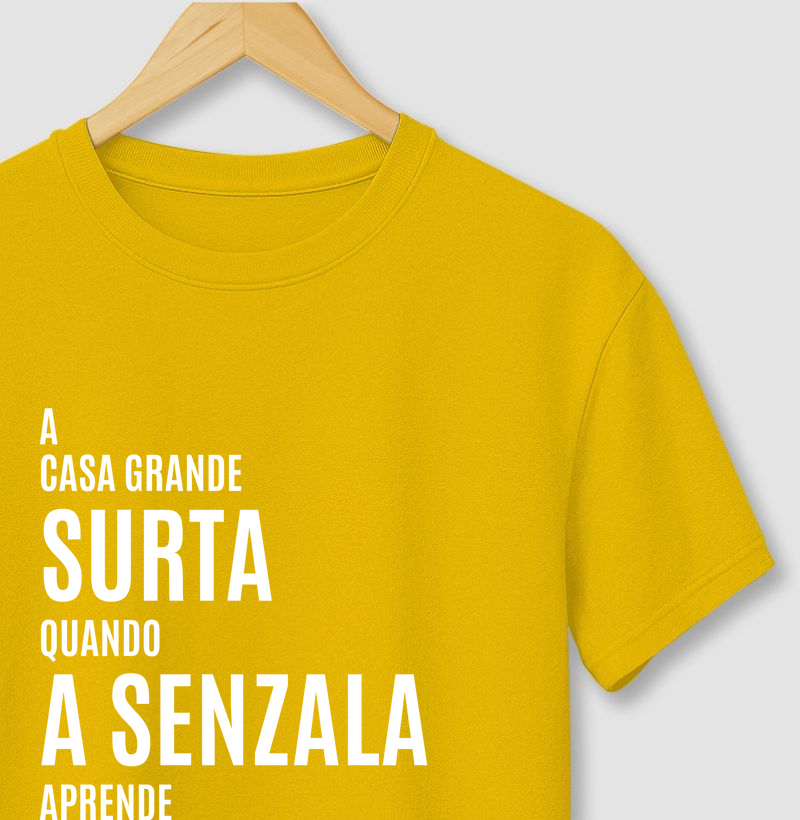 A casa grande surta quando a senzala aprende a ler