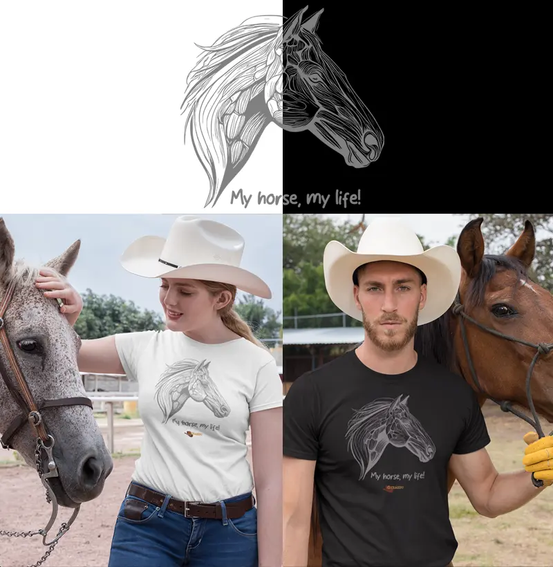 Meu cavalo, minha vida