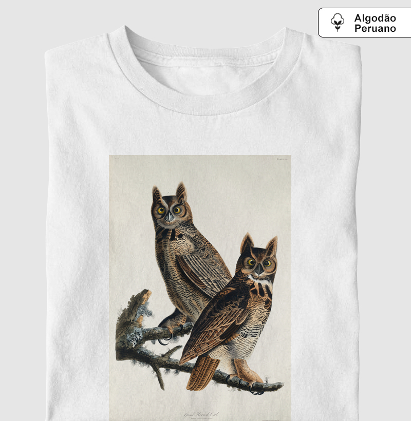 Great Horned Owl