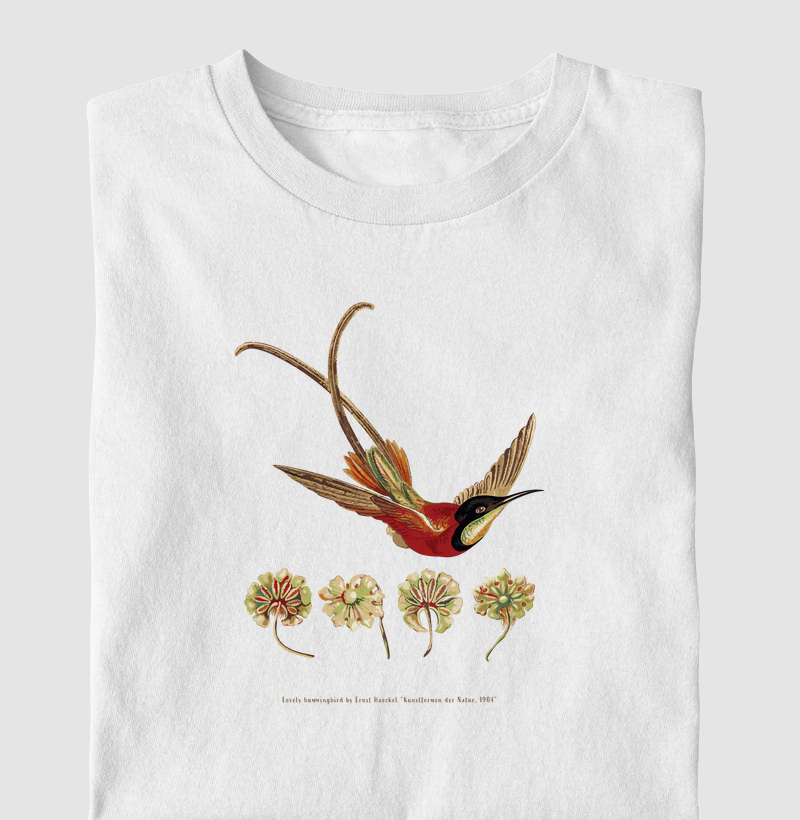 Ernst_Hummingbird B