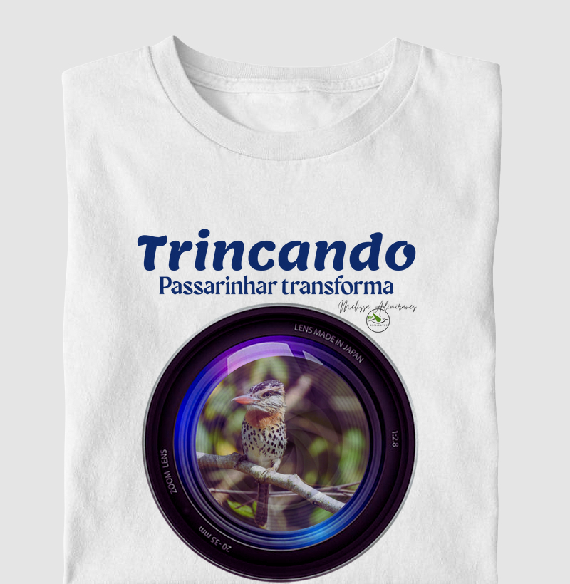 Coleção Observadores 1.0