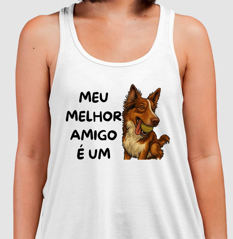 Meu melhor amigo é um border collie