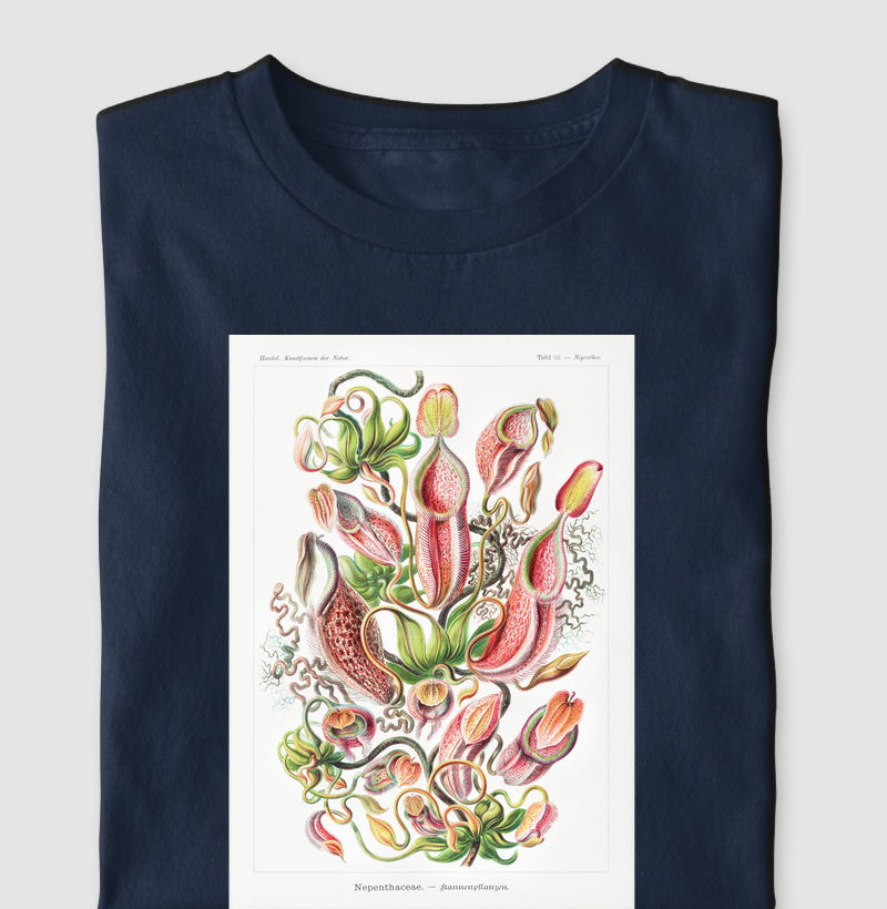 Nepenthaceae Kannenpflanzen
