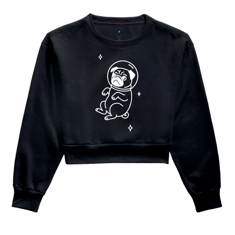 Pug Espacial