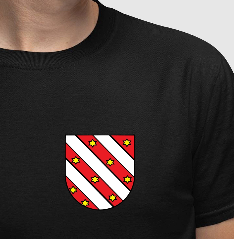 Brasão da Família Barros Escudo
