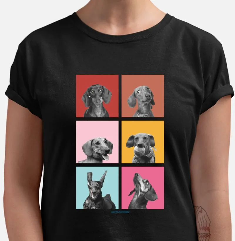 Faces Dachshund