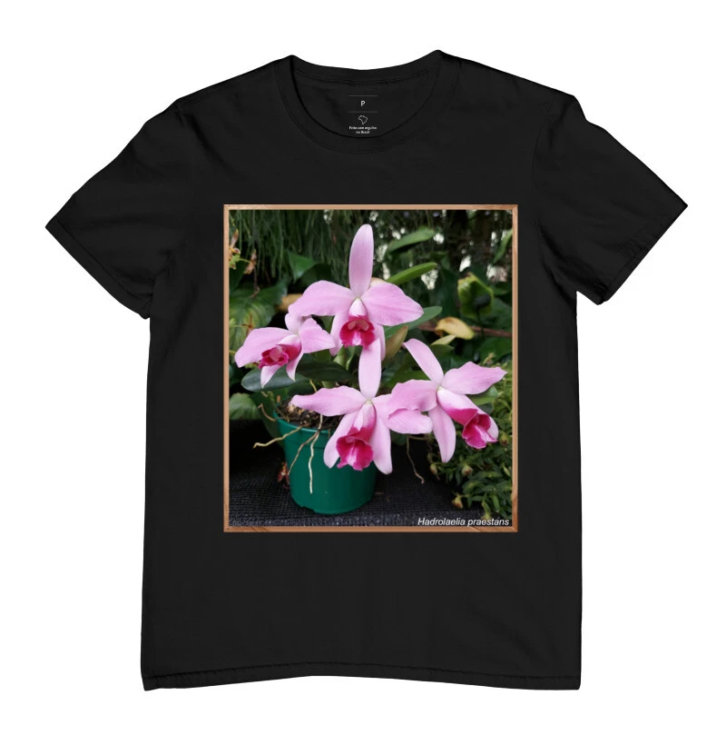 Hadrolaelia t-shirt
