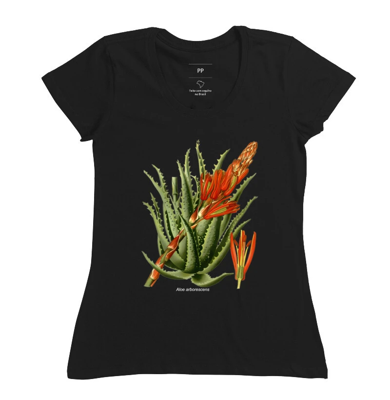 Aloe arborescens ( Suculentas )