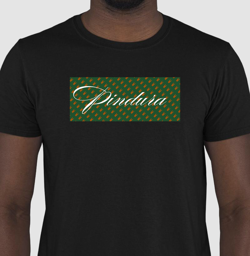 Camiseta Pindura Classica 2