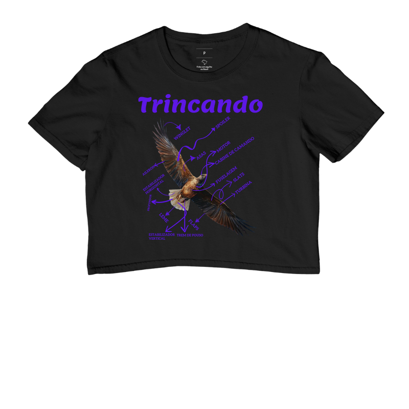 Trincando de aviação