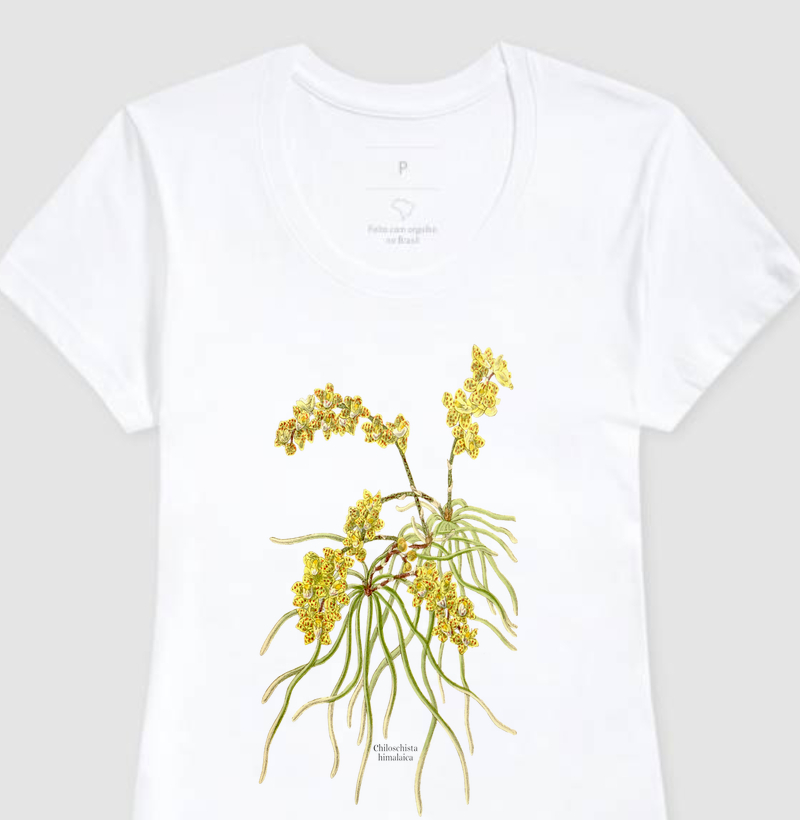 Camiseta Feminina Chiloschista himalaica