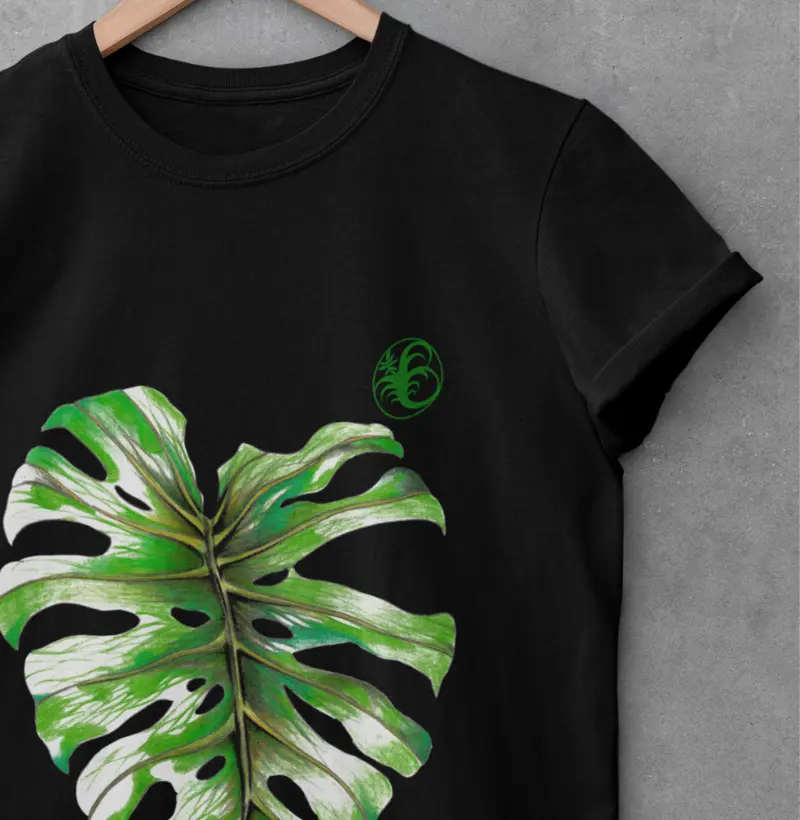 MONSTERA