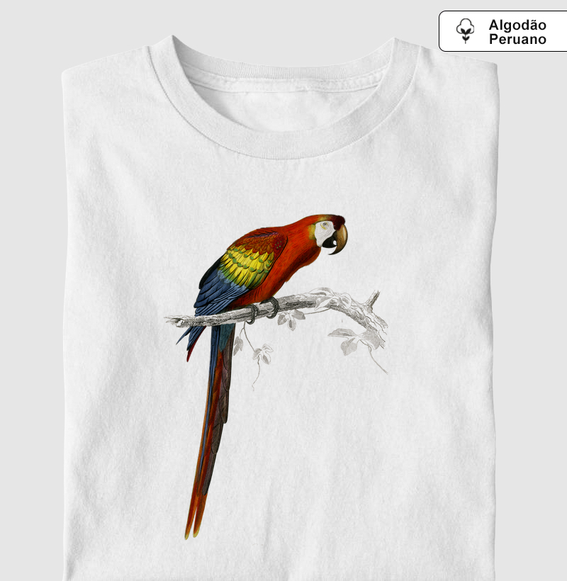 Arara Vintage