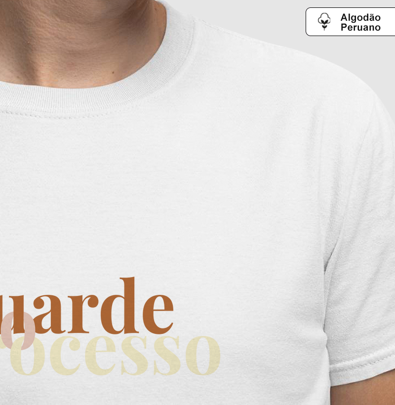 Aguarde O Processo PERUANO